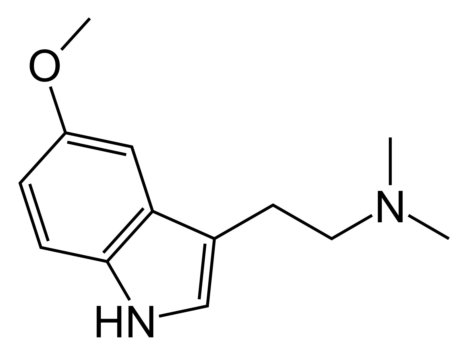 Black silhouette of a bird in front of a setting sun with mountains in the background