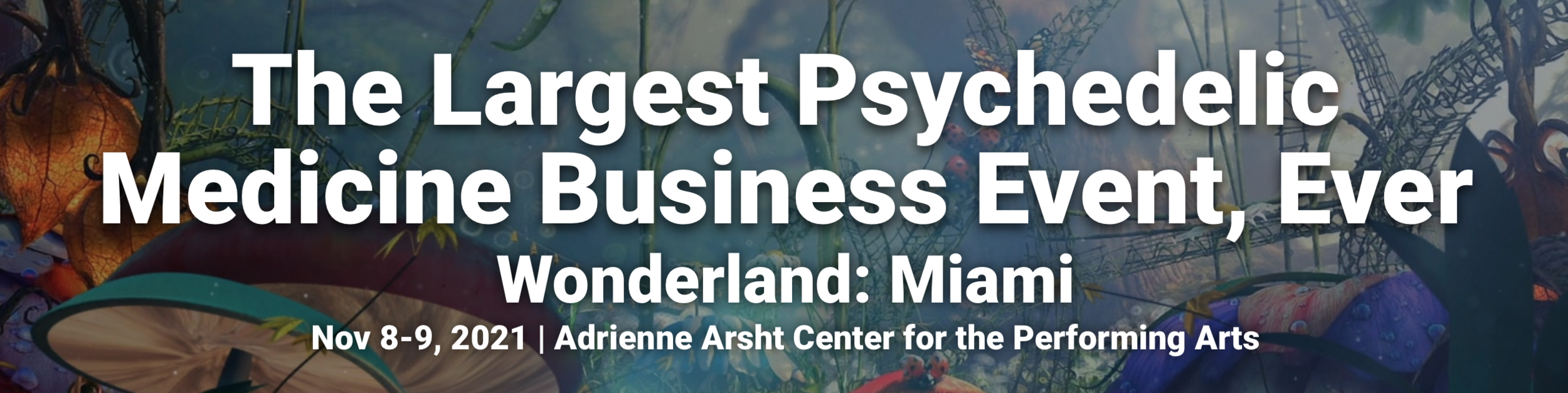 Wonderland: Miami